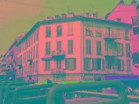 IMGP2698 edited (Medium)